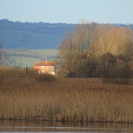 No 96 Chapel Lane - Self Contained Cottage In The Heart Of Butleigh Buitenkant foto